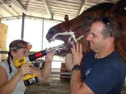 Dentistry as a training tooljpg